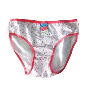 Ladies Panties (B-Four)